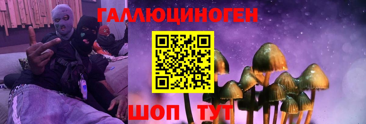 Приморско-Ахтарск  Галлюциногенные грибы мицелий  Вход с VPN  где продают   Галлюциногенные грибы Magic Shrooms 